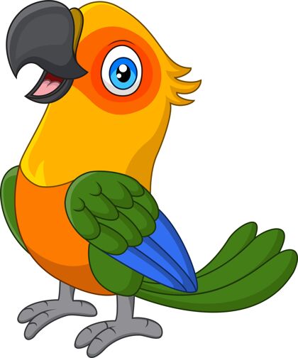 平面设计卡通搞笑金刚鹦鹉野生动物动物鸟