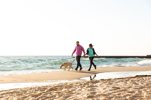 海滩可爱的年轻夫妇和他们的狗在海滩散步夹克宠物友谊