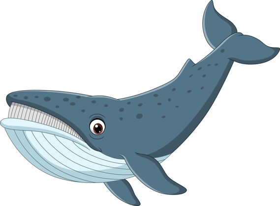 鲸鱼卡通鲸鱼孤立插图动物海洋生物
