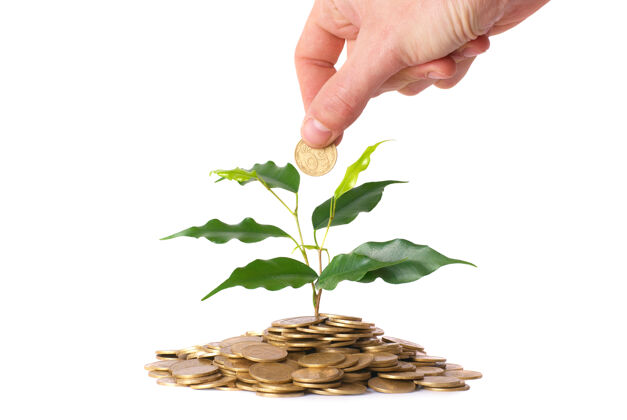 硬币手和绿色植物生长在硬币钱财务概念储蓄货币生长