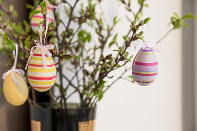 节日复活节彩蛋挂在春天开花的树枝上鸡蛋开花树枝