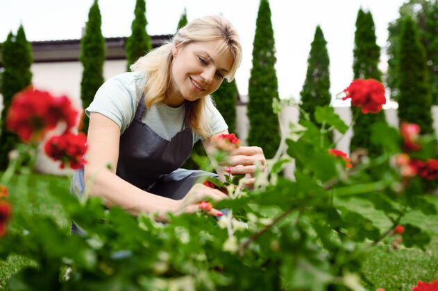 浇水围裙里的快乐女人在花园里摆花花园女园丁照顾植物户外 园艺爱好 花店的生活方式和休闲耙子工作花店