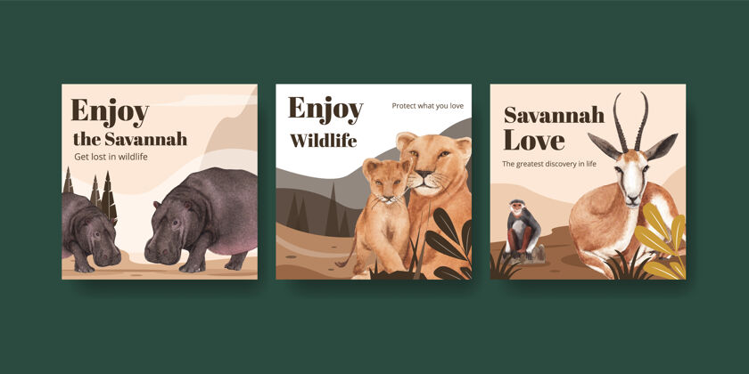 狮子广告模板与萨凡纳野生动物概念水彩插图犀牛动物野生动物
