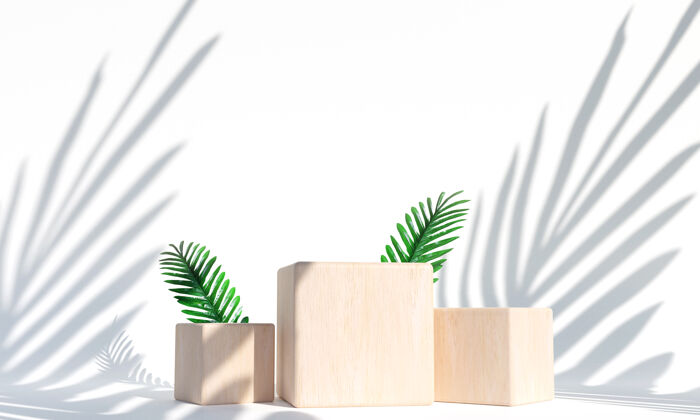 自然木质讲台 热带树叶产品展示的背景对象三维渲染舞台