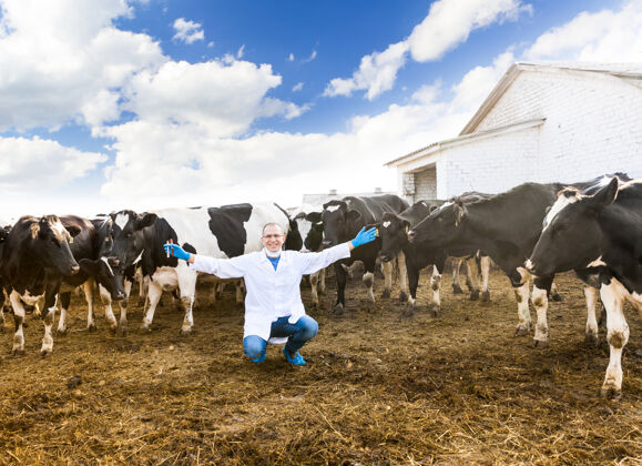 哺乳动物积极的兽医在农场的牛群中间农业分析人