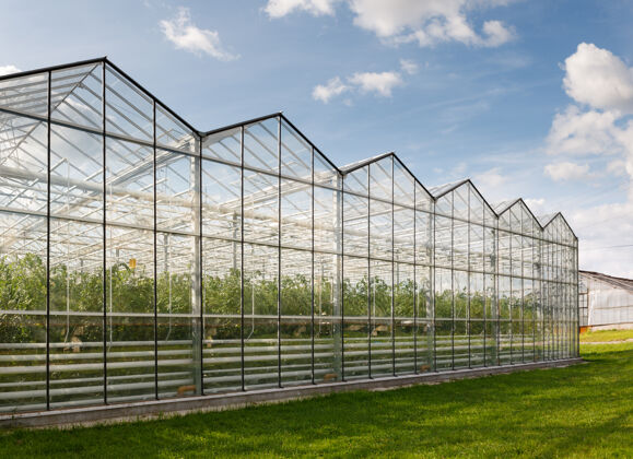 自然温室在户外种菜温室玻璃植物学