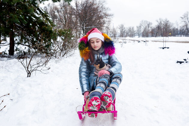 冬天美丽的女孩带着吉娃娃上了大自然一个十几岁的女孩抱着一只狗吉娃娃雪地过冬小狗可爱寒冷