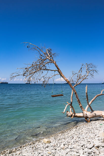 度假村夏天的海景 倒下的树上荡秋千的石头海滩和货船目的地海岸蓝天