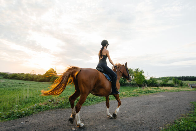 站立一个年轻漂亮的女骑师骑着一匹纯种种马在日落时分骑马马术运动 骑马动物女人缰绳