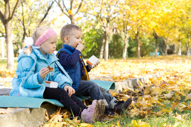 季节在五颜六色的落叶中 两个可爱的金发小女孩坐在地上的一小块地毯上休闲娱乐公园