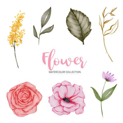 花卉一组独立的部分 汇集到美丽的花束在水彩风格自然文字手写