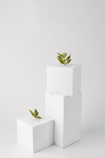 垂直几何形态和植物生长的可持续性概念高角度绿化空白