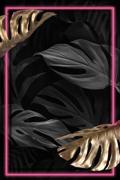 新鲜霓虹红怪兽叶子框架设计资源Philodendron红色框架怪物