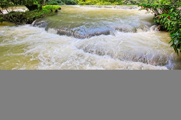 岩石牙买加的邓恩河瀑布在邓恩河瀑布公园森林河流景观