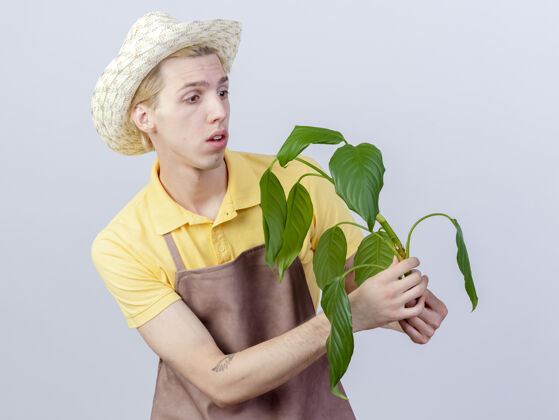 年轻年轻的园丁穿着连体衣戴着帽子拿着一株植物看着它很感兴趣男人站阴谋