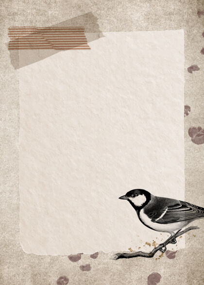 画塔尔戈克斯大山雀在一个肮脏的棕色背景旧动物野生动物