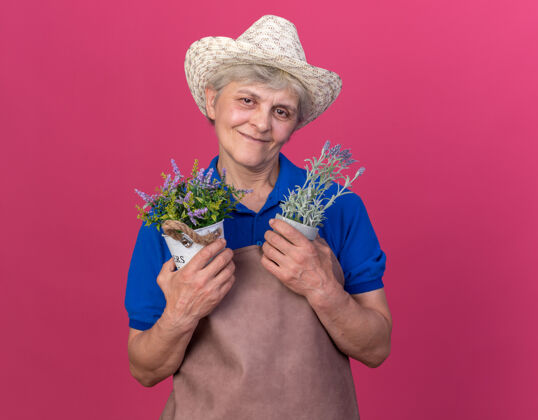 老人高兴的上了年纪的女园丁戴着园艺帽捧着粉红色的花盆帽子园艺花盆