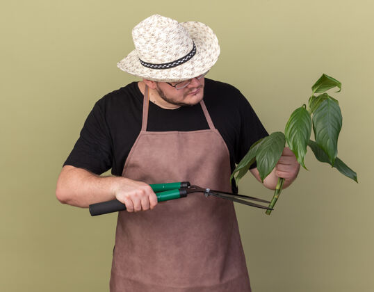 站严格年轻的男园丁戴着园艺帽修剪植物与剪子隔离在橄榄绿的墙上脸花园人