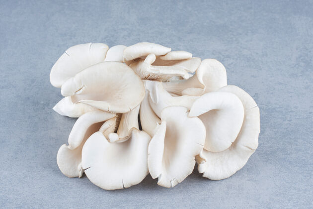 新鲜灰底牡蛎蘑菇特写照片香菇真菌群体