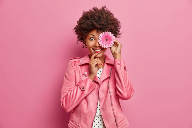 高兴美丽的卷发女士 带着牙齿般的微笑 把粉红色的非洲菊花放在眼前 从盛开的春天草地上摘下的花 穿上粉红色的夹克 准备做花圈季节时尚牙齿