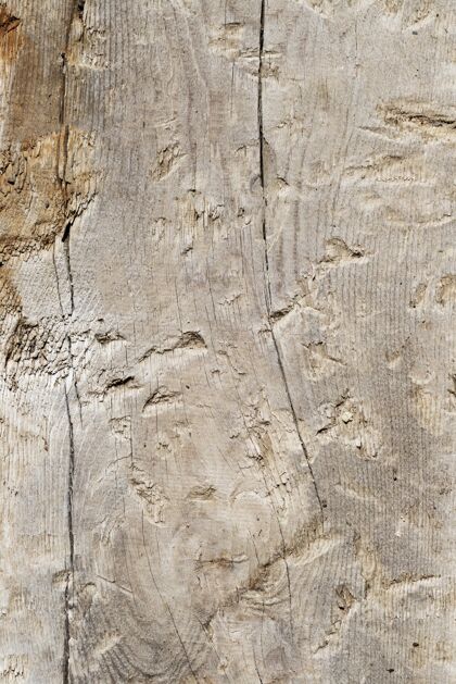 木头特写木材纹理背景特写表面纹理