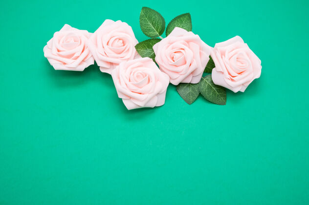 自然粉红色玫瑰的特写镜头隔离在一个绿色的背景与复制空间花玫瑰粉色
