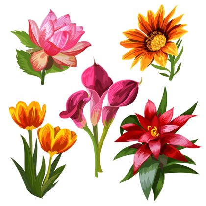 包装手绘花卉收藏自然叶龄花卉