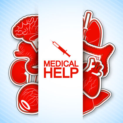 医疗医疗帮助海报上有许多人体器官的图像 包括心脏海报图像人体器官