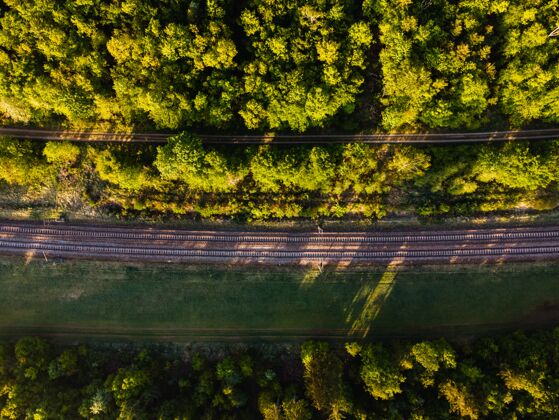 光德国阳光下被森林包围的铁轨的空中拍摄树树叶风景