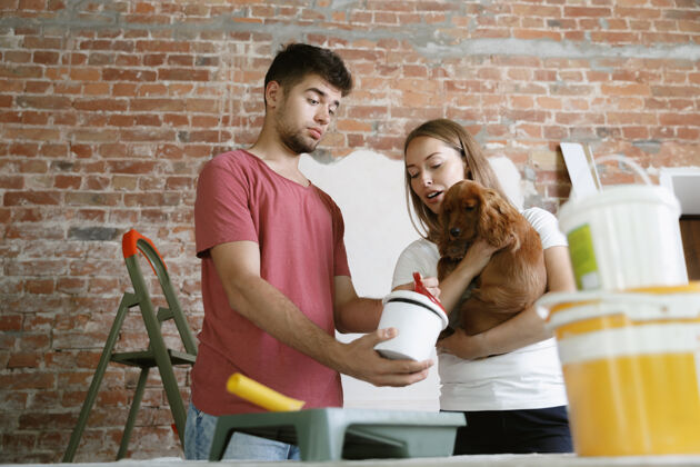 水平年轻夫妇一起修缮公寓已婚男女一起做家庭改造或翻新关系 家庭 宠物 爱情的概念选择油漆颜色 牵着狗公寓室内舒适
