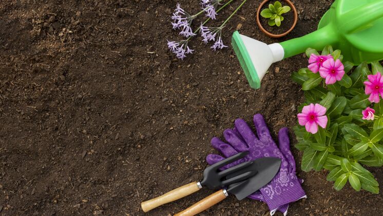 土壤植物园艺工具靠近园艺特写园艺铲