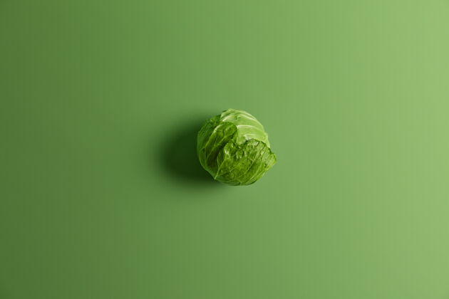 蔬菜上图为绿色背景上分离的有机天然卷心菜圆头照片水平单色特写镜头制作沙拉或博尔什的新鲜天然配料健康营养理念食谱素食大小