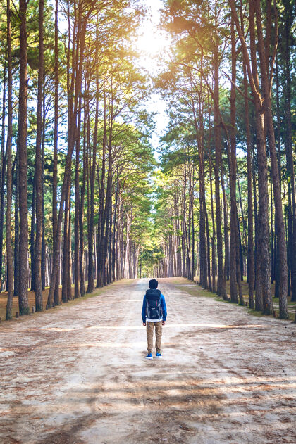 健康背着背包在森林里徒步旅行的人徒步旅行冒险小径