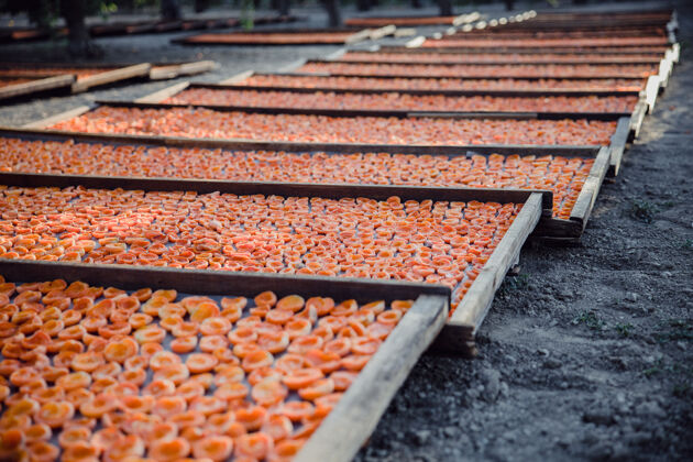 农产品杏子放在多个盘子里杏子板凳水果