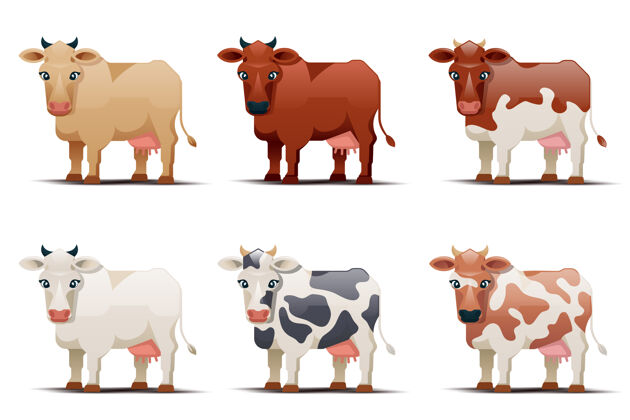 自然白色背景上不同颜色的奶牛斑点奶牛插图野生动物农场农村