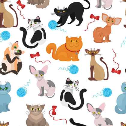 有趣毛皮猫图案背景彩色猫与缠结的线程说明国内好玩的猫爪子国内人物