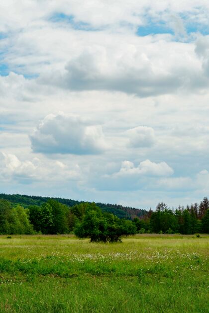 景色在多云的天空下 一个美丽的绿色山谷的垂直镜头风景叶光