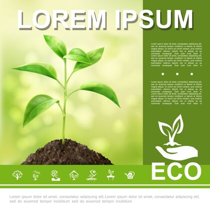现实现实的生态和自然与生长植物手握芽苗菜生态标志和生态图标插图模板标志植物举行