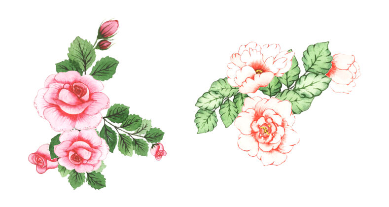 手绘手工水彩花卉艺术可爱图形红色