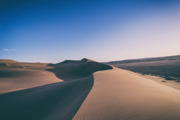 户外棕色的沙子沙丘沙漠自然
