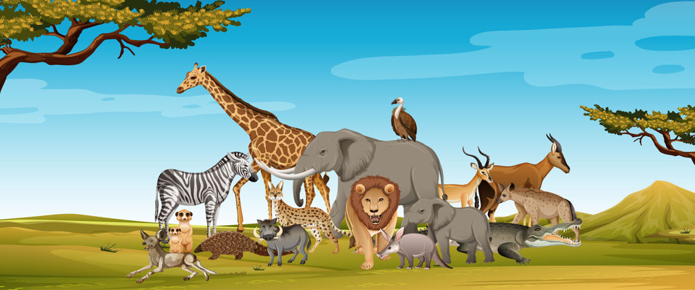 生物森林里的一群非洲野生动物环境自然捕食者