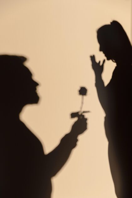 墙男人和女人在家约会的剪影女性阳光优雅