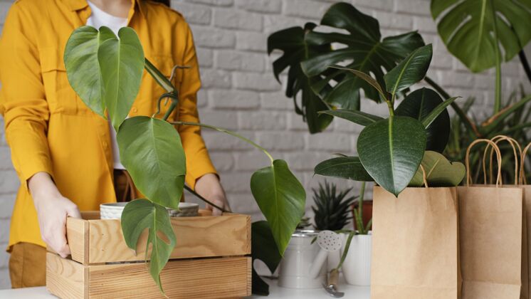 爱好把植物放进木箱的女人家庭园艺室内室内植物