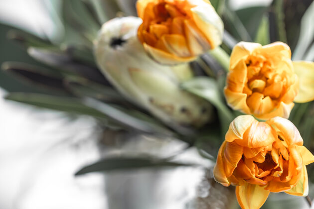 成分一束奇异的皇家变形木和明亮的郁金香花热带植物组成特写花卉植物