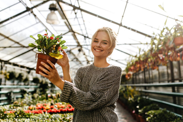 明亮雪白微笑的女人 捧着红花的植物温室里穿着灰色毛衣的女人的画像花园欧洲波浪发