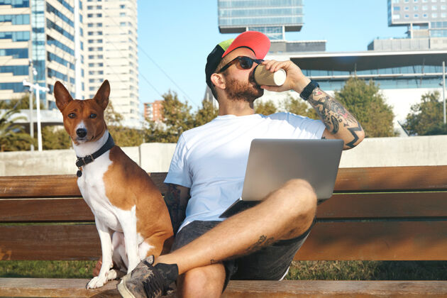 公司一个留着胡须 纹身 膝盖上放着笔记本电脑的年轻人正在用纸杯喝咖啡 他的狗就坐在他旁边科技工人年轻