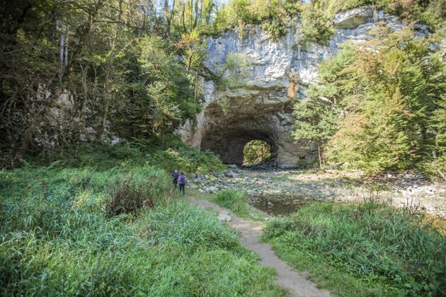 隧道在斯洛文尼亚的拉科夫斯科卡扬的一个自然公园里 穿过岩壁的隧道树自然斯洛文尼亚