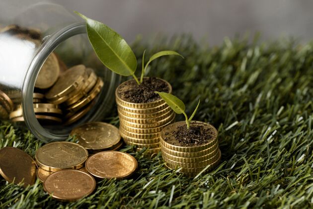 天意高角度的两叠硬币放在草地上 上面有罐子和植物资本资金财富