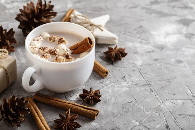 巧克力热巧克力概念正面图季节水平传统的