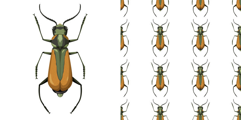动物马来奇昆虫和无缝模式小虫子无缝图案